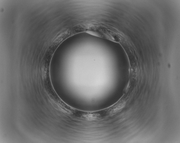 X0000067950558200604131438