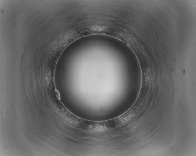 X0000067950559200604131438