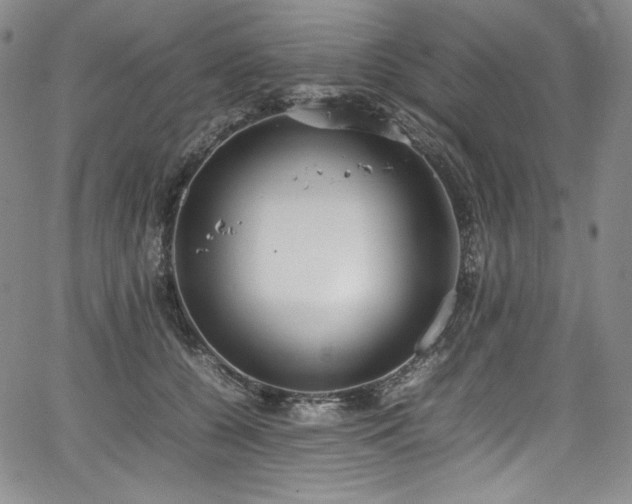 X0000067950560200604131438