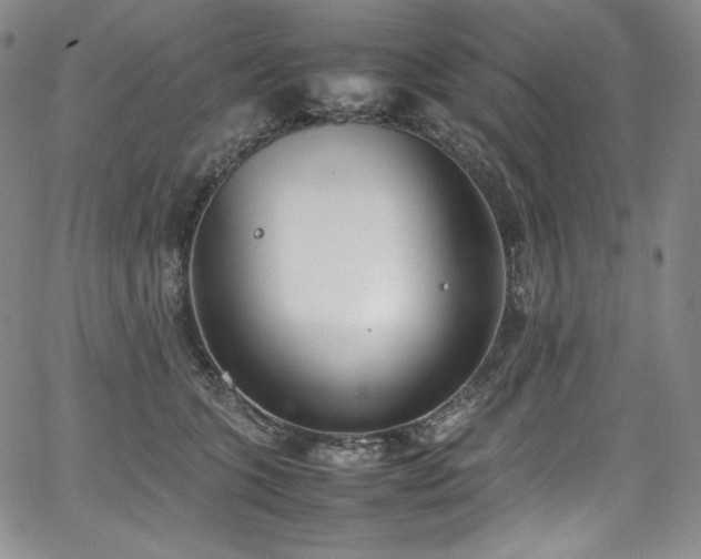 X0000067950563200604131438