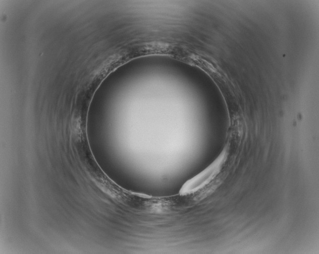 X0000067950564200604131438