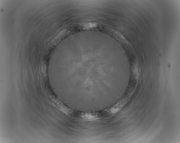 X0000067950565200604131438