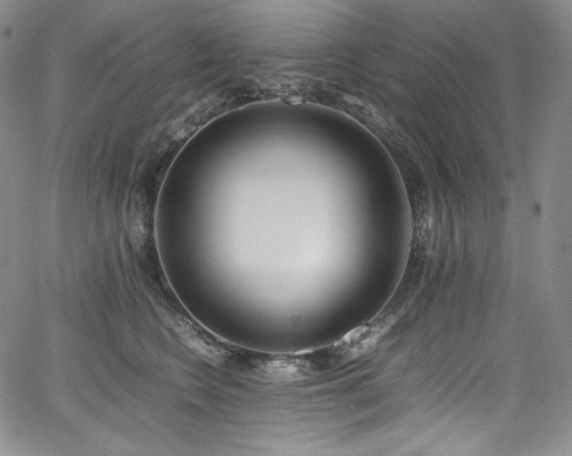 X0000067950566200604131438