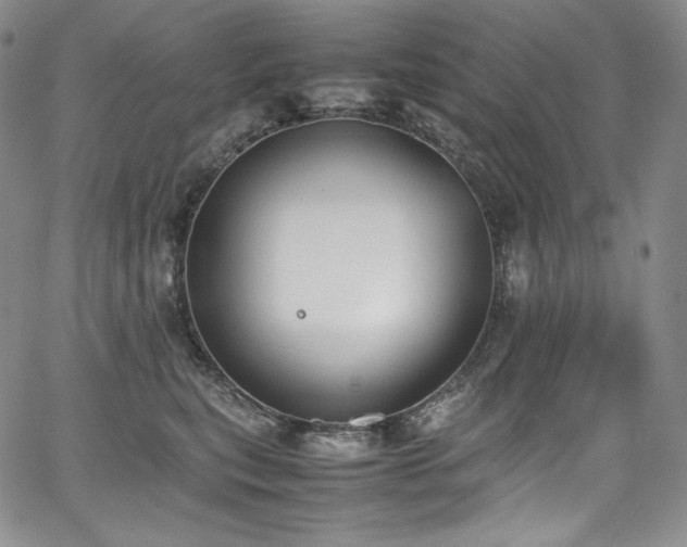 X0000067950567200604131438