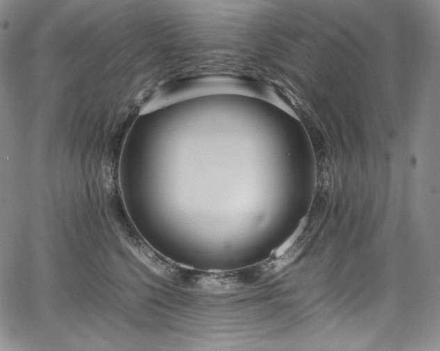 X0000067950568200604131438