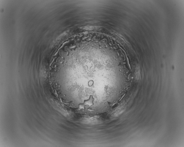 X0000067950569200604131438