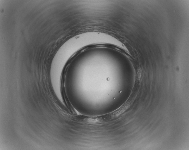 X0000067950570200604131438