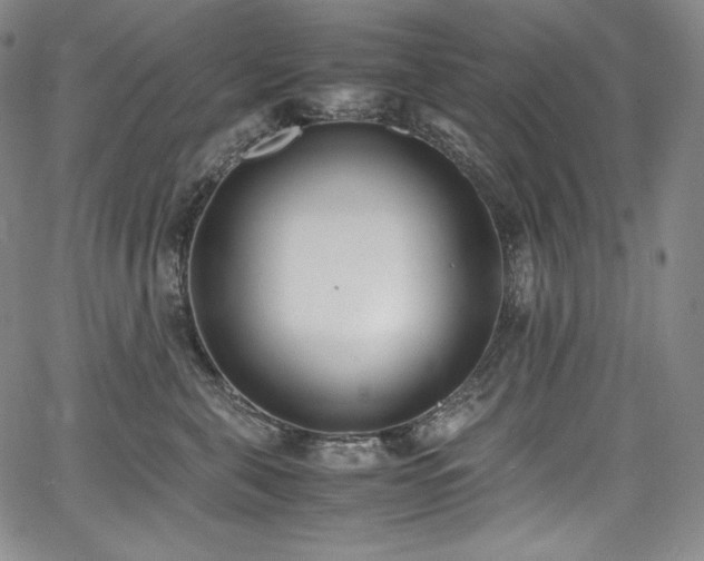 X0000067950571200604131438