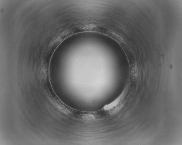 X0000067950572200604131438