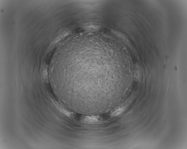 X0000067950573200604131438