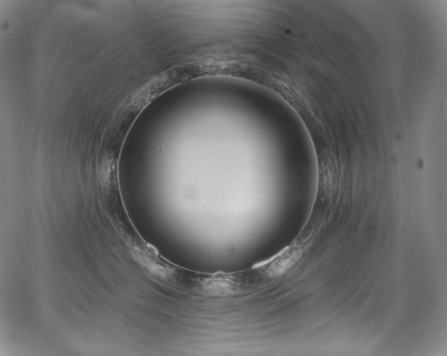 X0000067950574200604131438