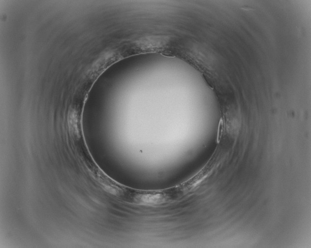 X0000067950575200604131438