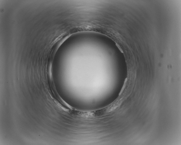 X0000067950576200604131438