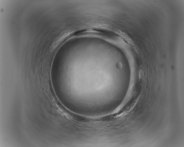 X0000067950577200604131438