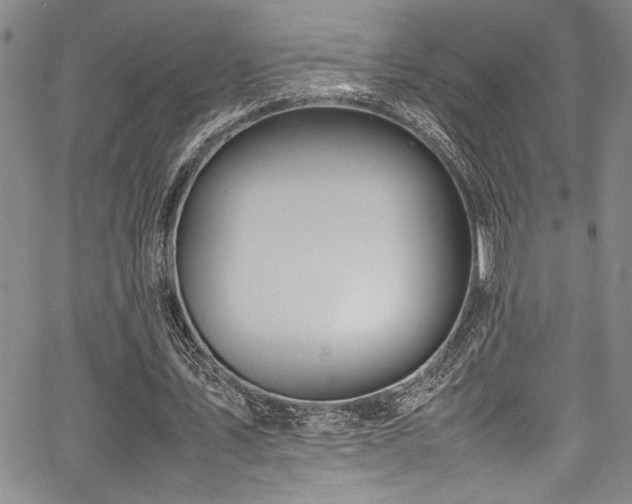 X0000067950579200604131438