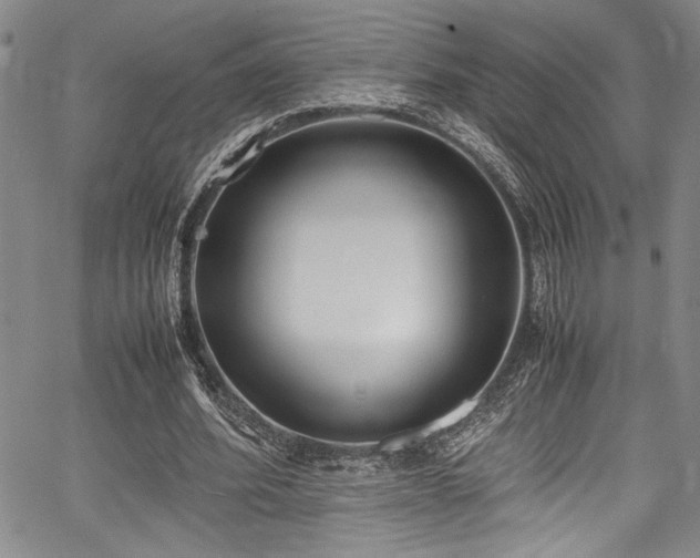 X0000067950580200604131438