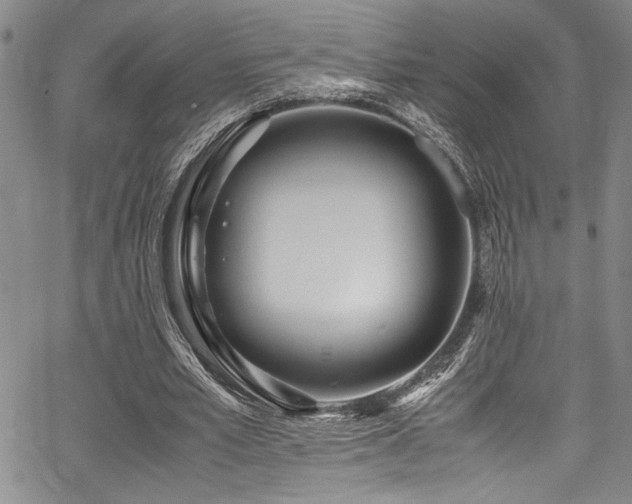 X0000067950581200604131438