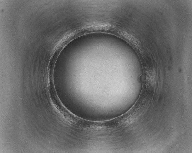 X0000067950582200604131438