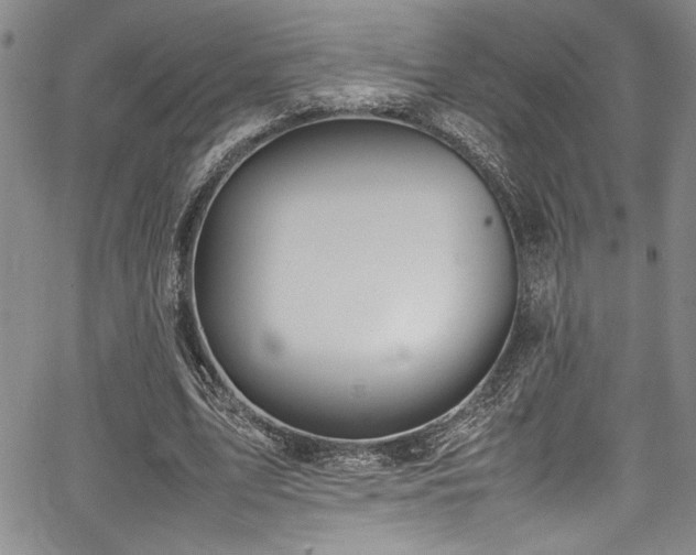 X0000067950583200604131438