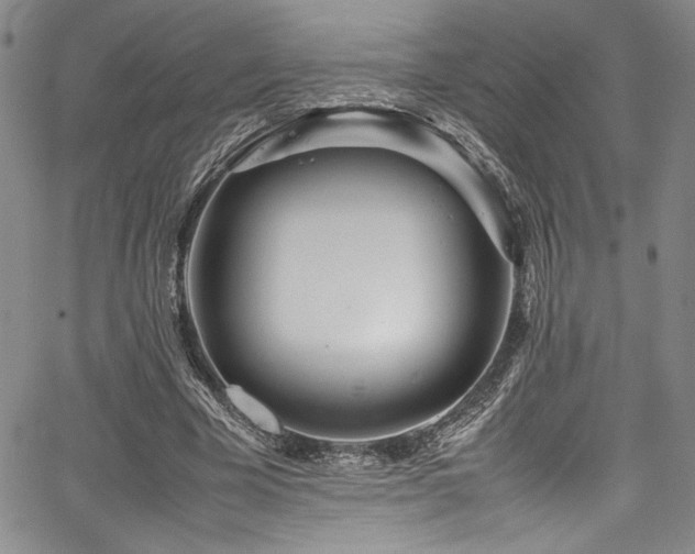 X0000067950585200604131437