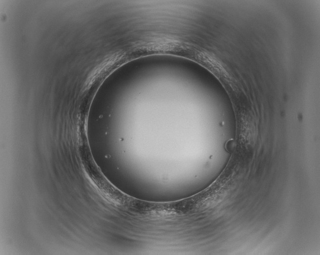 X0000067950586200604131437