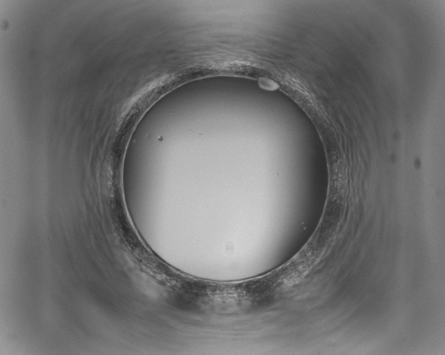 X0000067950587200604131437