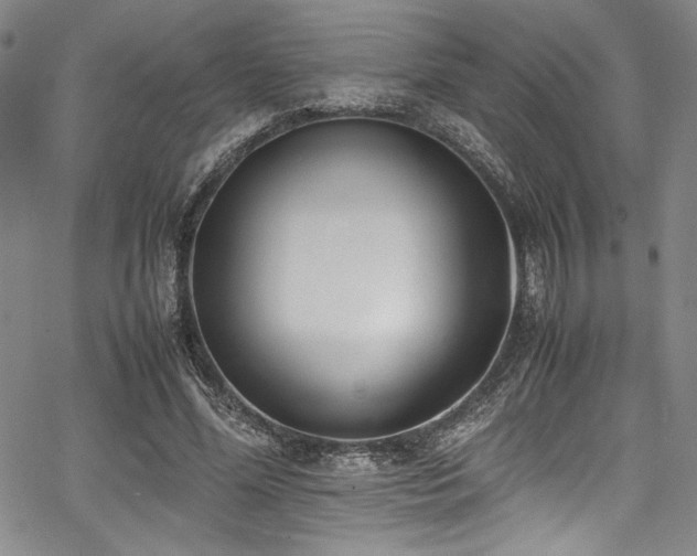 X0000067950588200604131437