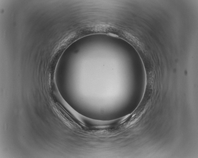 X0000067950589200604131437