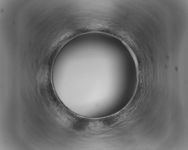 X0000067950591200604131437