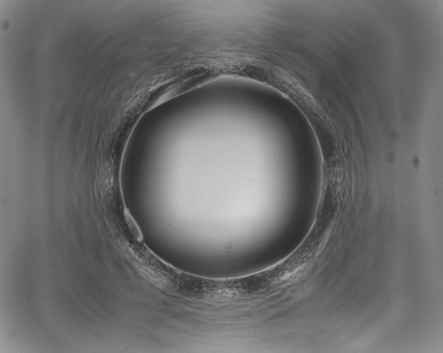 X0000067950593200604131437