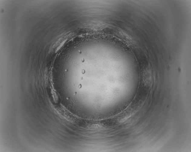 X0000067950594200604131437