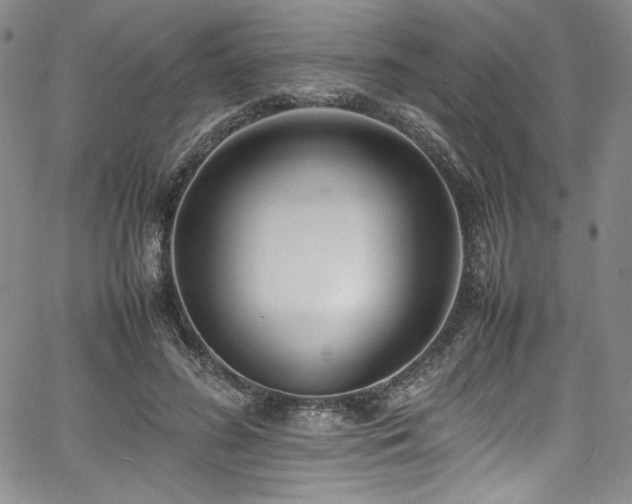 X0000067950596200604131437