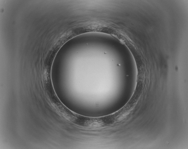 X0000067950597200604131437