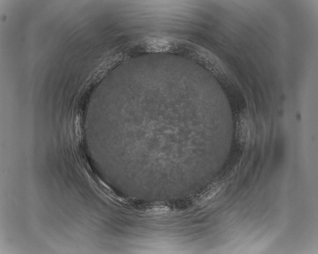 X0000067950598200604131437