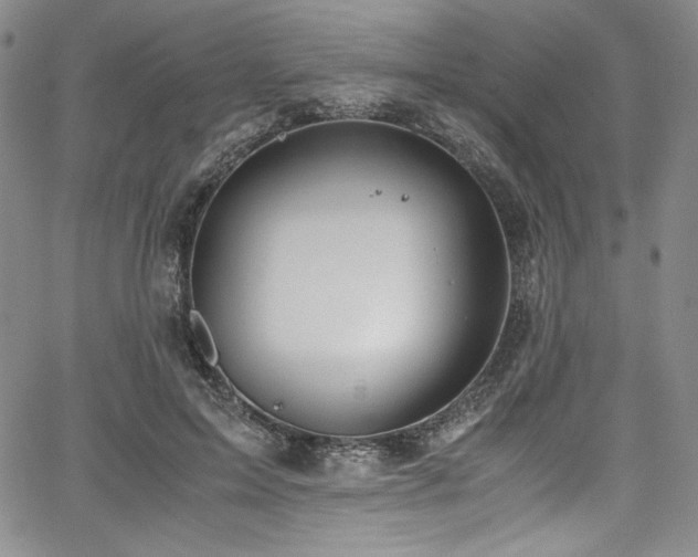 X0000067950599200604131437