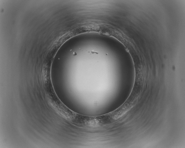 X0000067950600200604131437