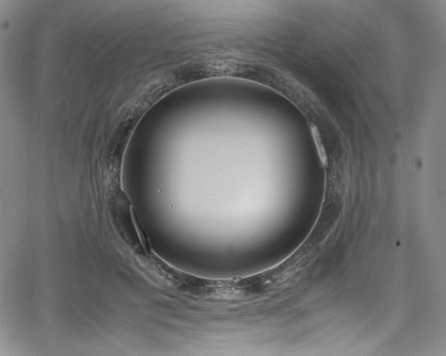 X0000067950601200604131437