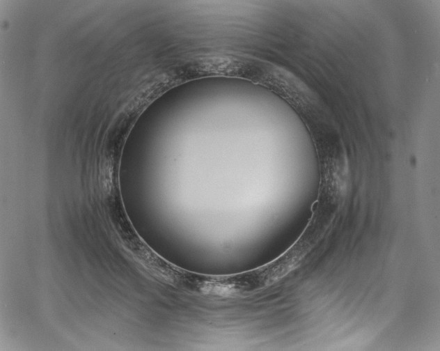 X0000067950602200604131437