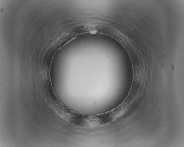 X0000067950603200604131437