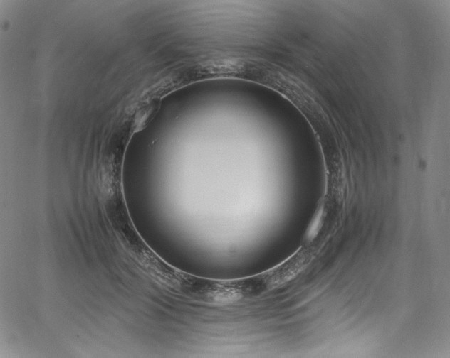 X0000067950604200604131437