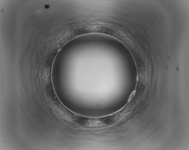 X0000067950605200604131437