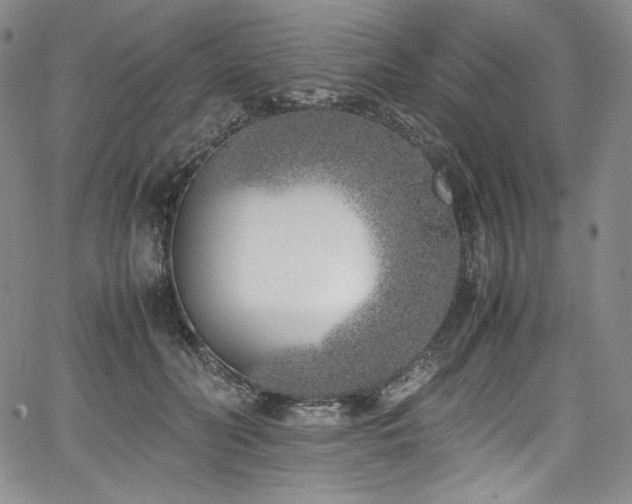 X0000067950606200604131437