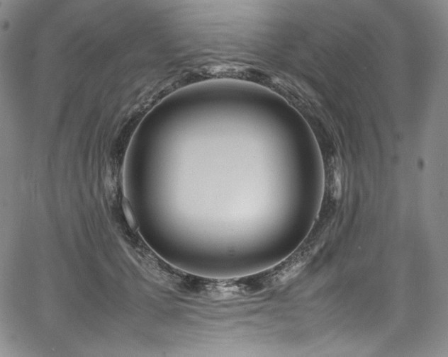 X0000067950607200604131437