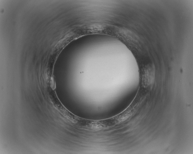 X0000067950608200604131437