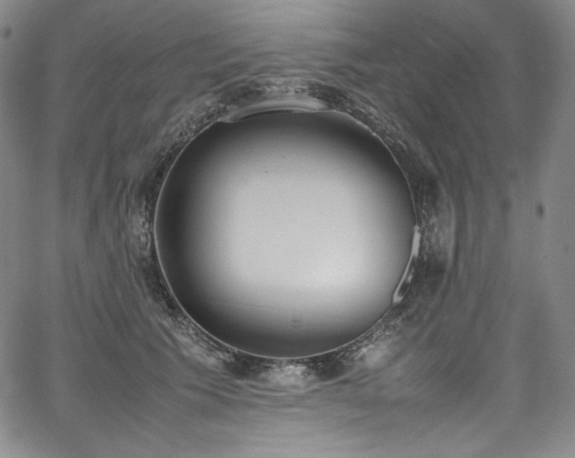 X0000067950609200604131437