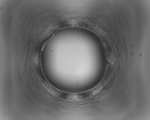 X0000067950611200604131437