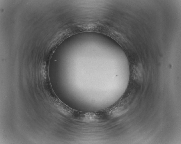 X0000067950612200604131437