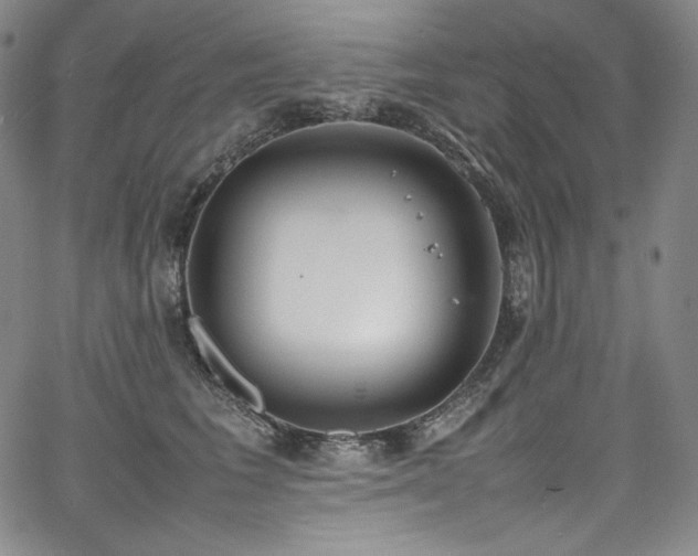 X0000067950613200604131437