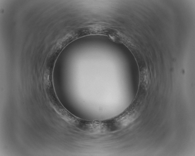 X0000067950615200604131437