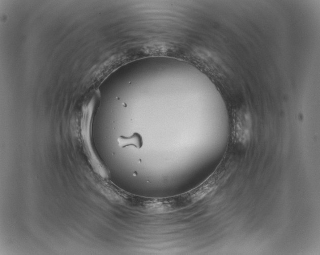 X0000067950616200604131437